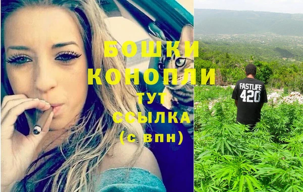 spice Алексеевка