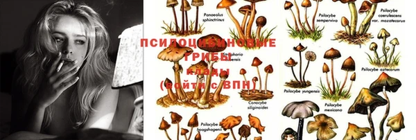 дживик Абдулино