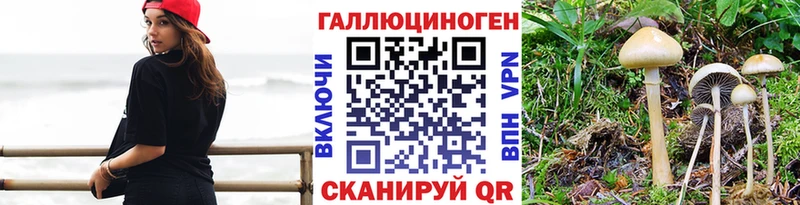 Псилоцибиновые грибы Psilocybe где купить наркоту Ардон